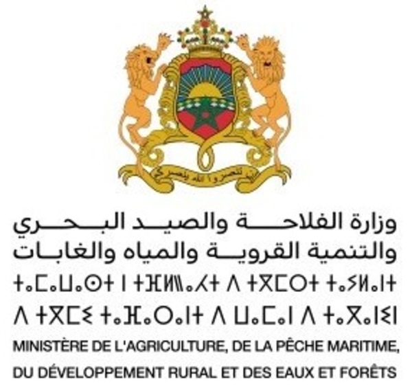Exposant 1